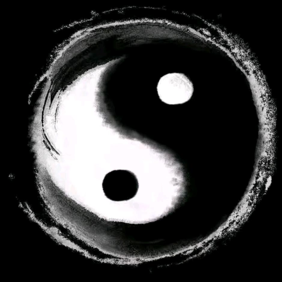 传统美学X