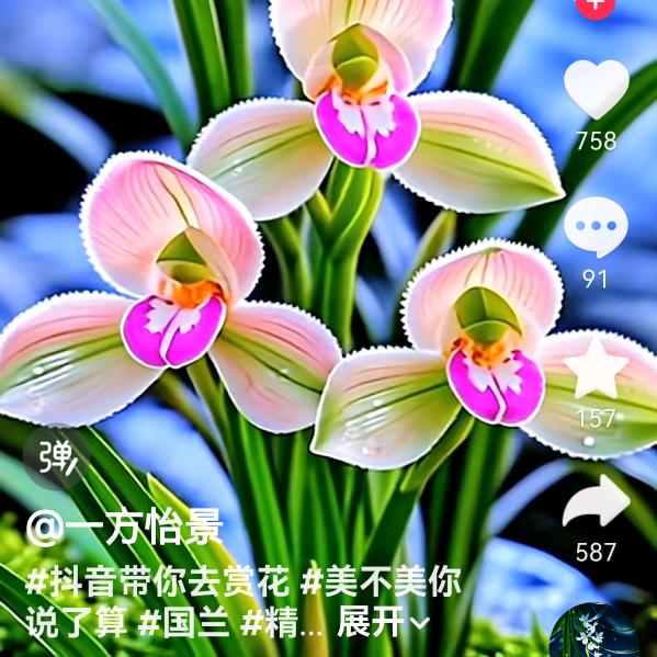 🌈🌈🌈🌈🌹🌹🌷