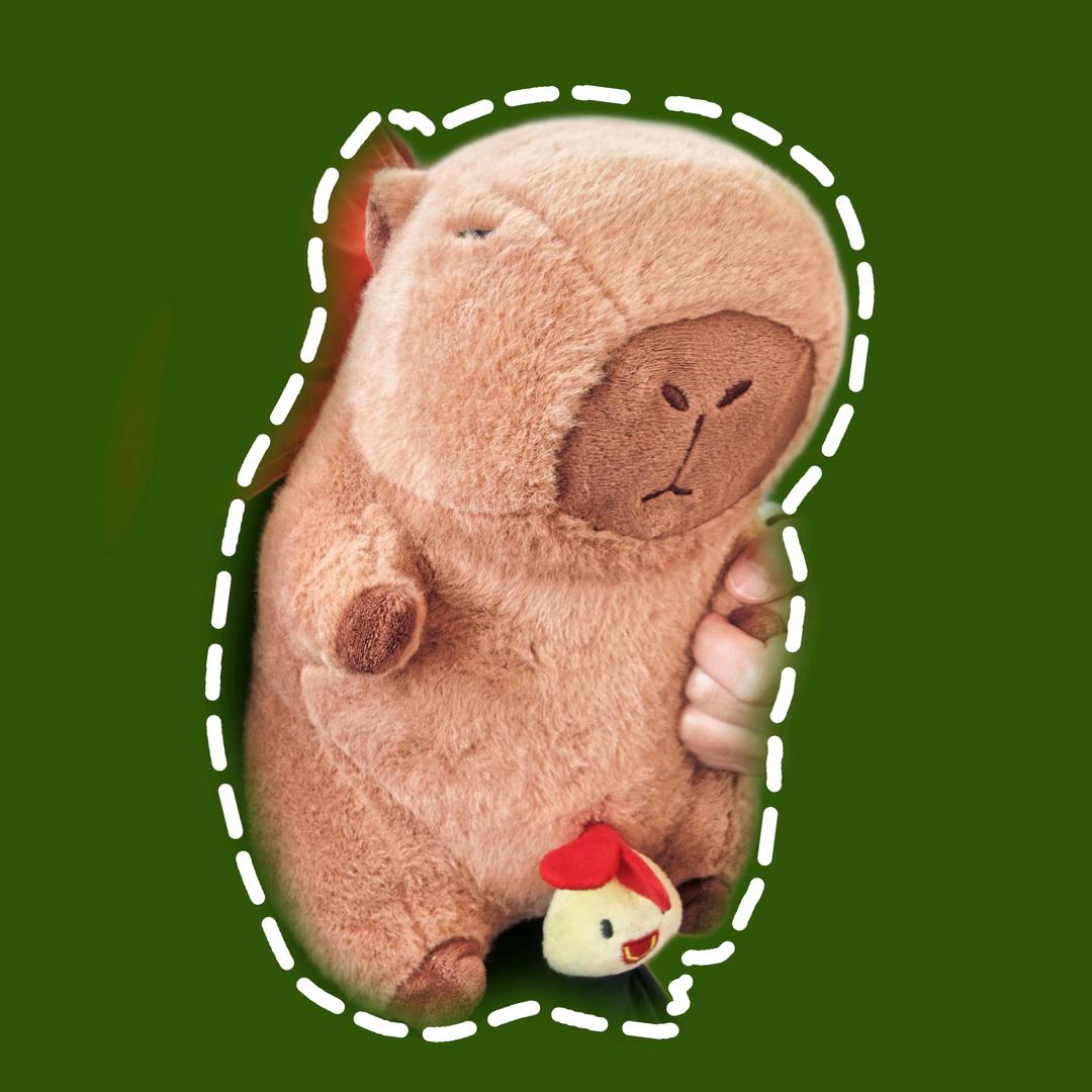 张雅钦的怀仁觉·Alivipor