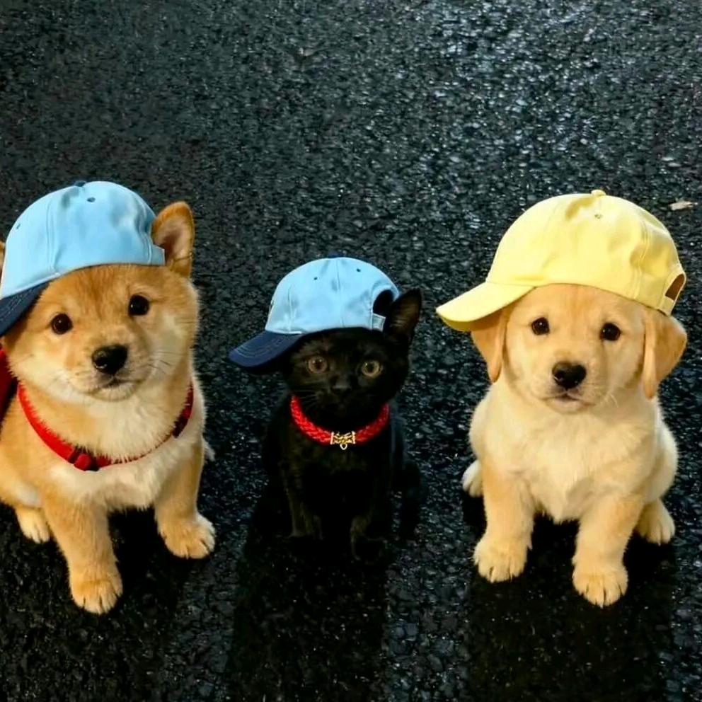 🌈试探你的温柔