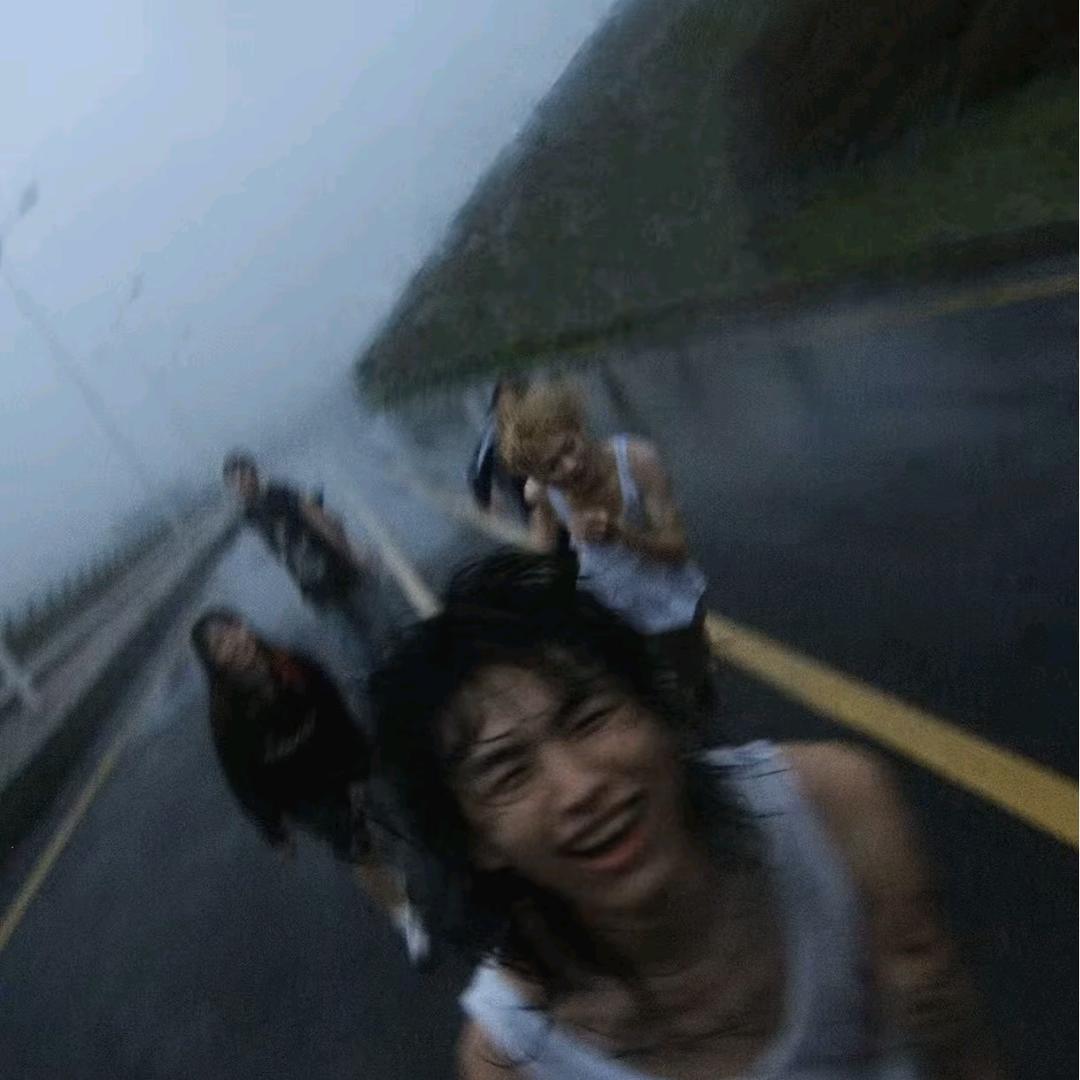 白山茶