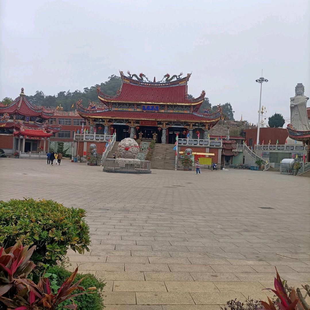 大,鹰