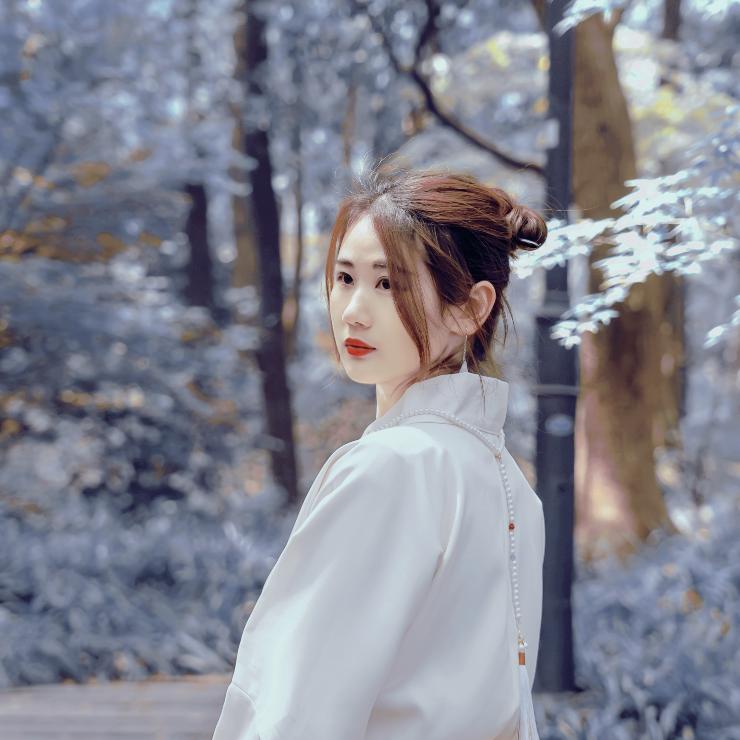 苏念(钻石💎梦)