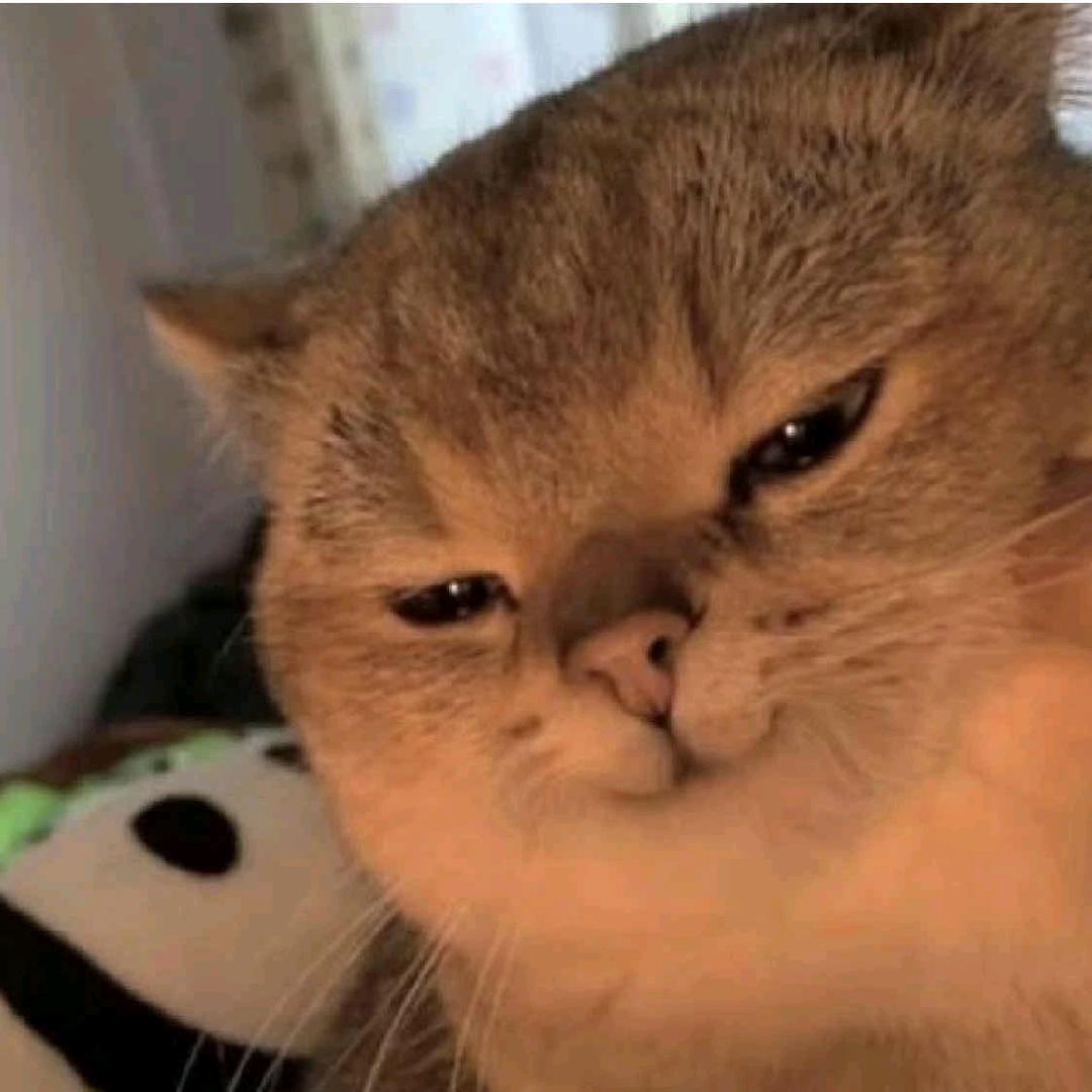 ↙
