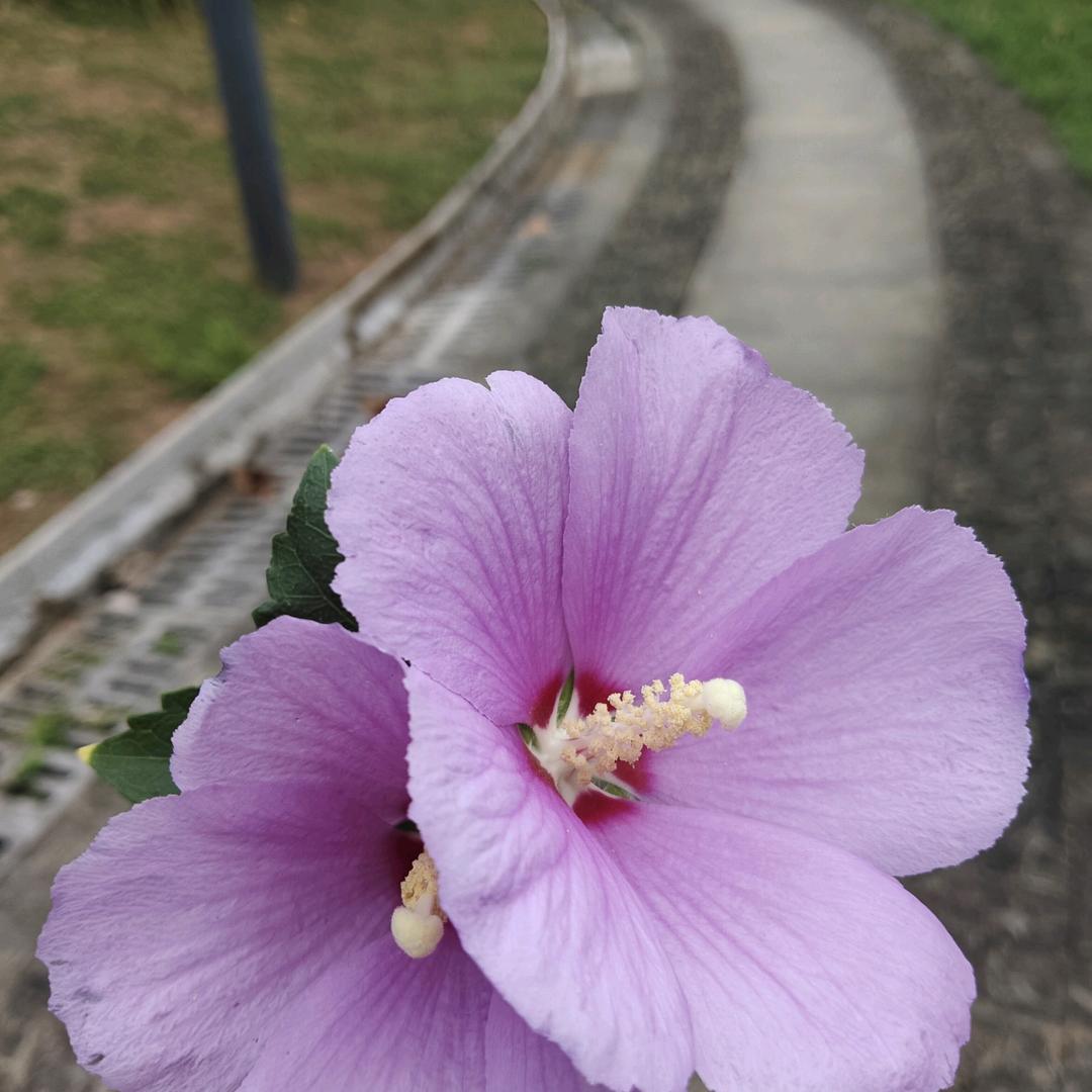 静思