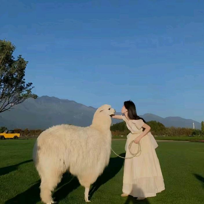 桐桐
