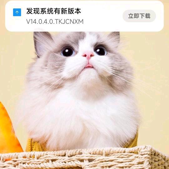 王家翠