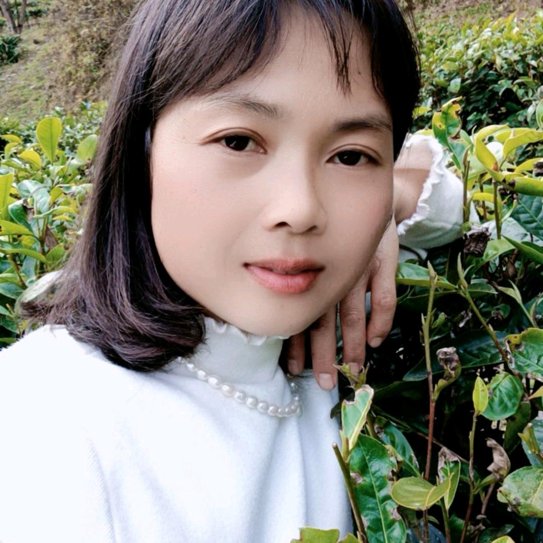 @@高山茶张美美.