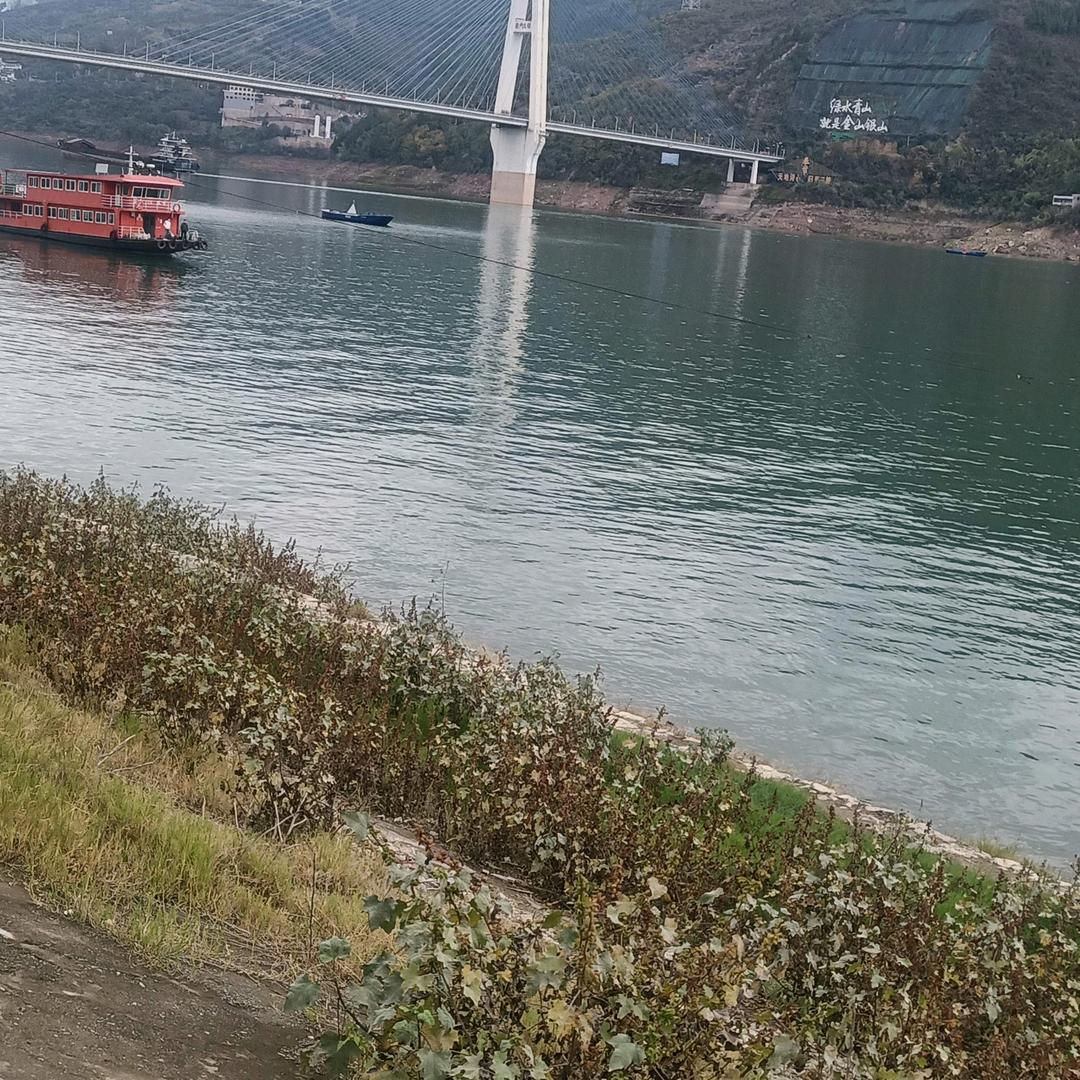 爱钓鱼的（胡哥）