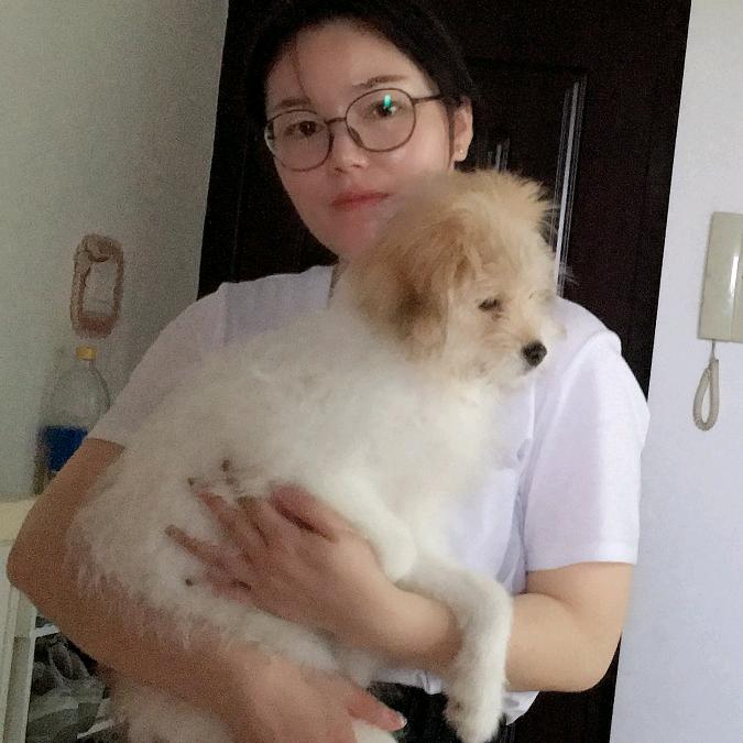 麦豆姐姐宠物羊毛毡定制