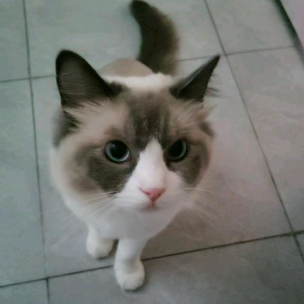 隗小❤宝