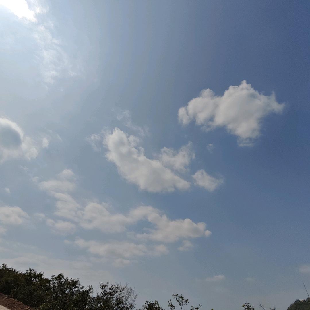 清意淡雅