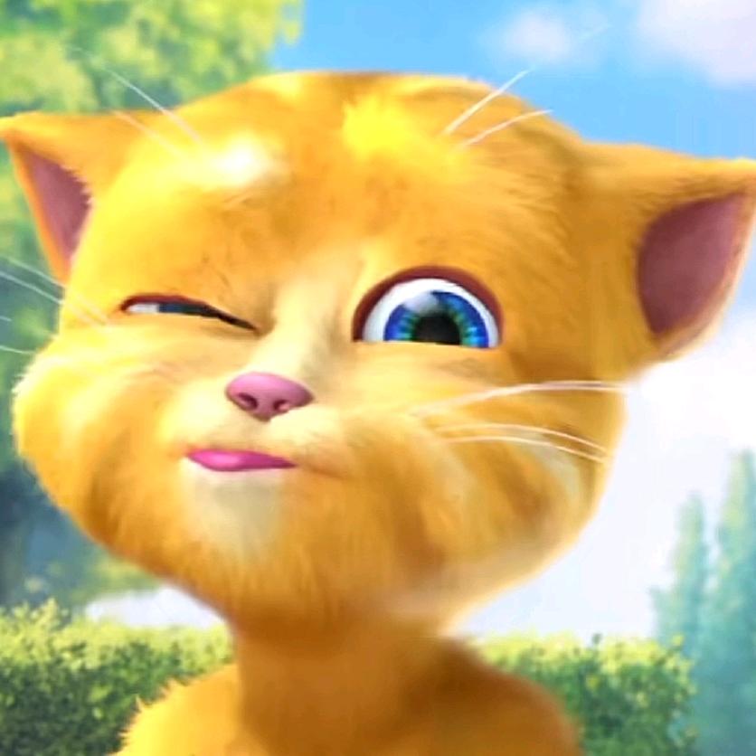 汤姆❤️猫咪