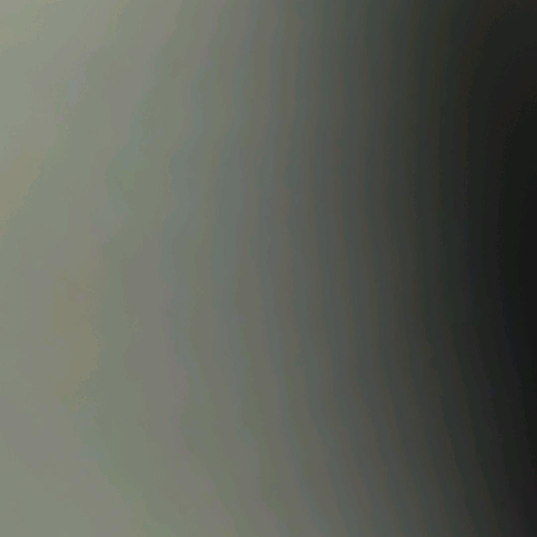 万里挑一