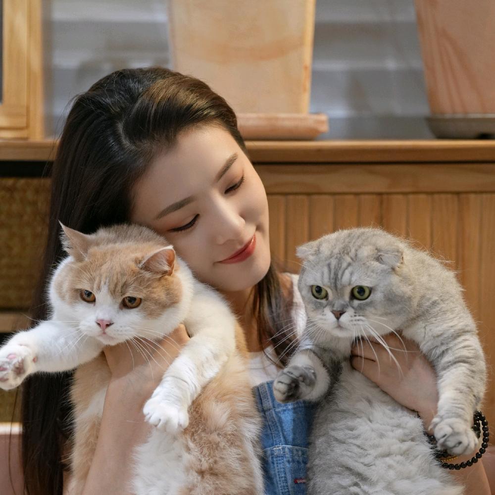 猫咪