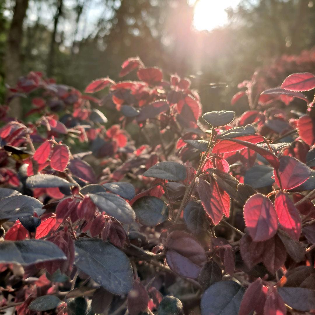 海口美兰绘膨百货店