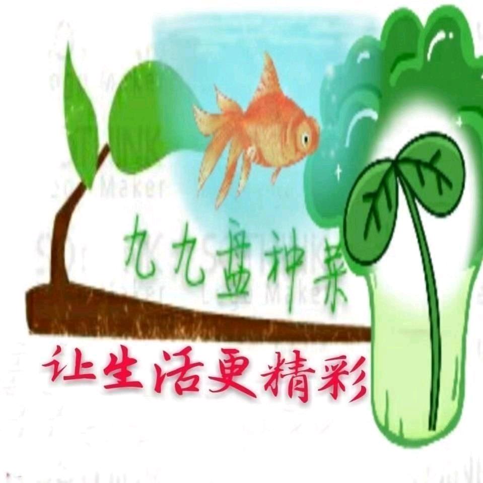 九九盘种菜（透明水培种植容器）