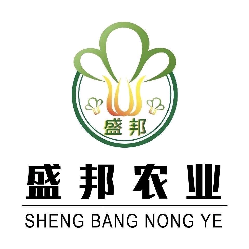 盛邦农业｜凌昊