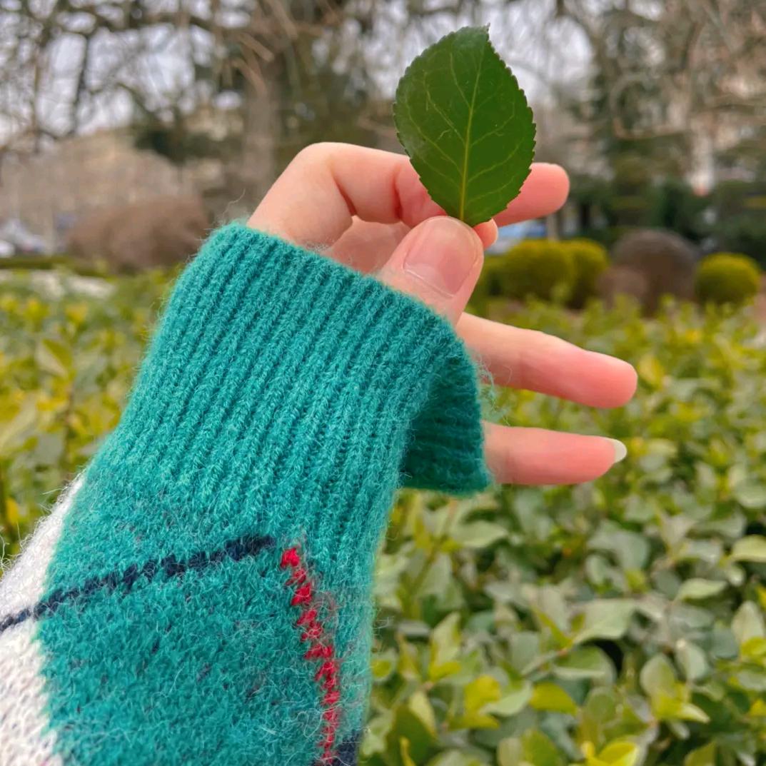 ☘️☘️文文☘️☘️