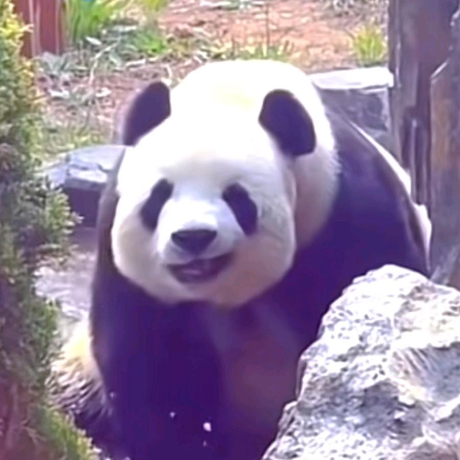 财神爷的小心肝儿