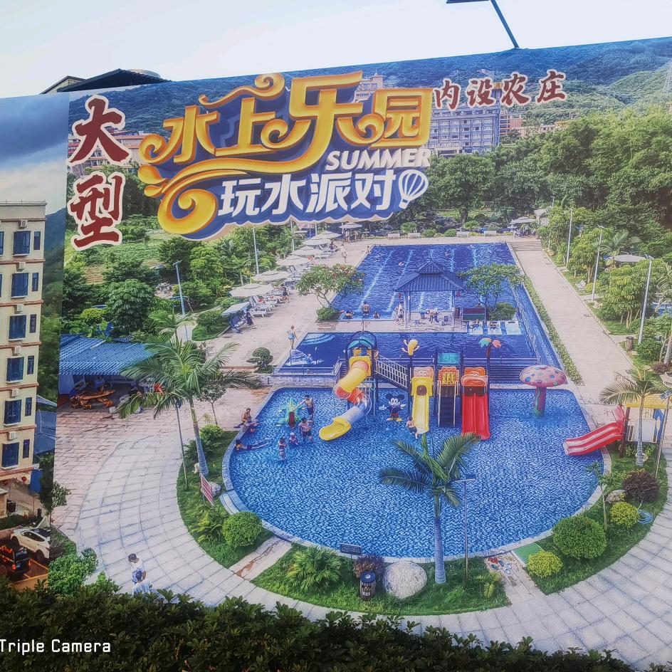 是他