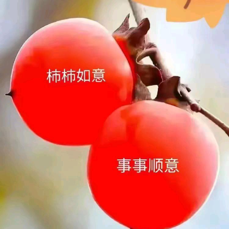 文玲。