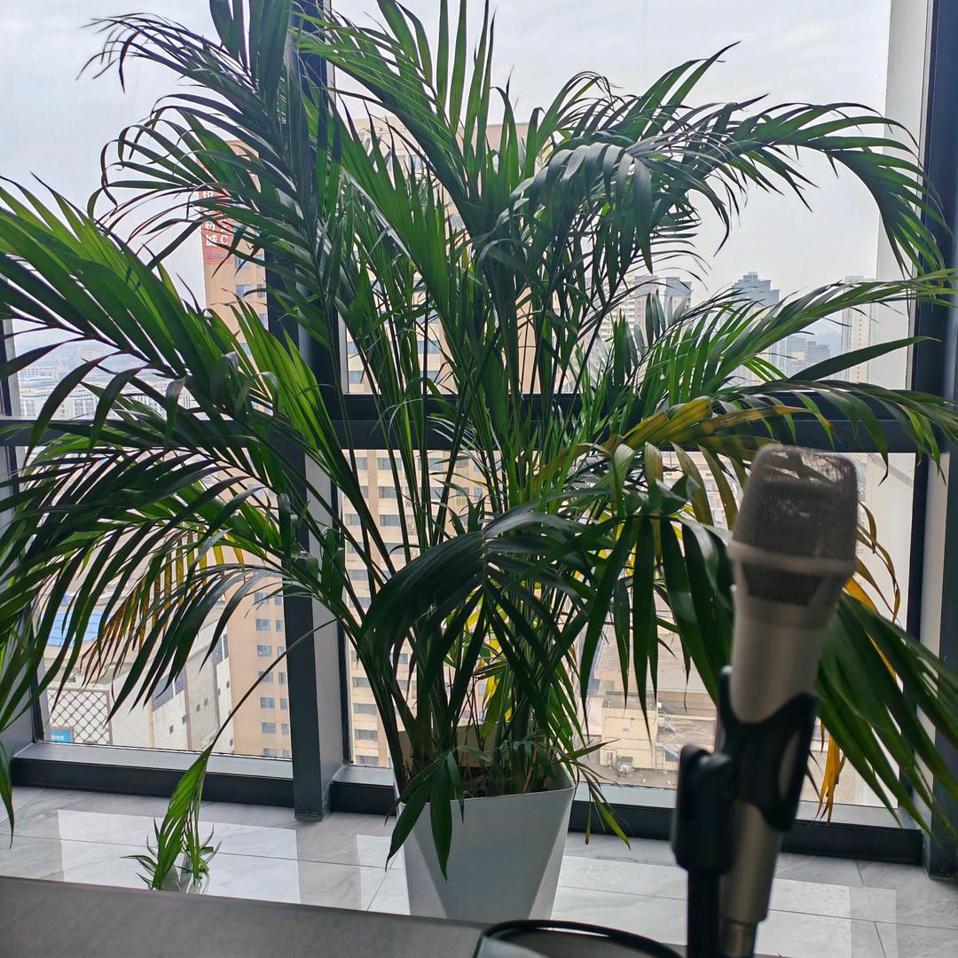 华姐建别墅（公司招人）（每天上午11点见