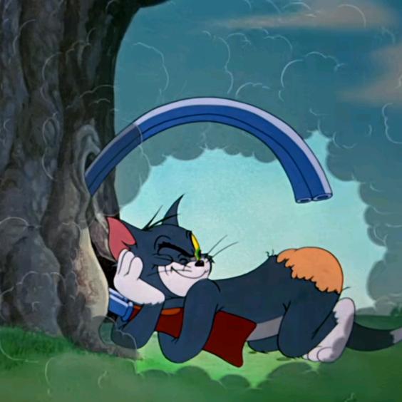 热爱生活的猴子🐒