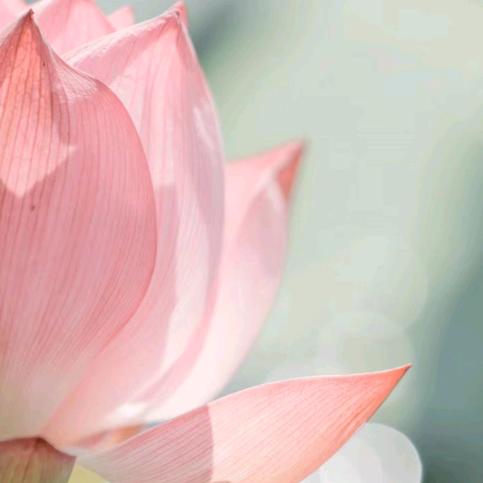 留取丹心照汉卿