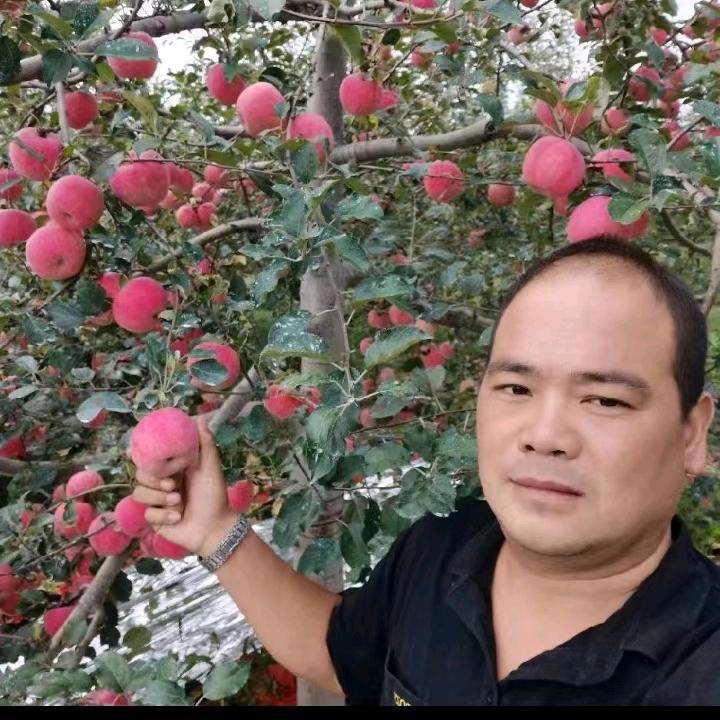 宛东游客。常年果蔬产地直采批发零售代发，