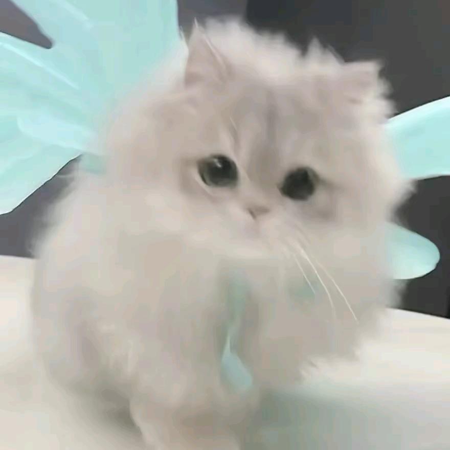 我是好人头像