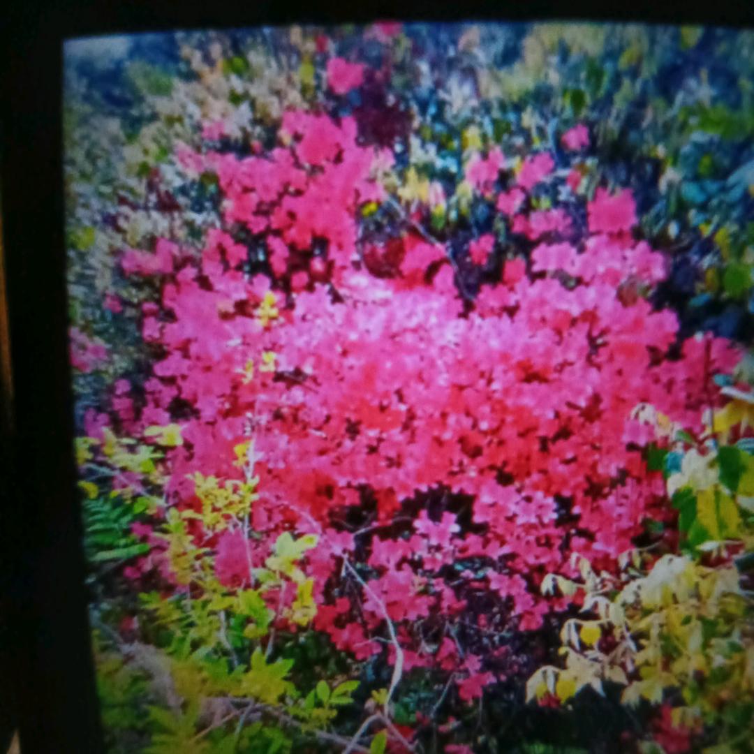 用户