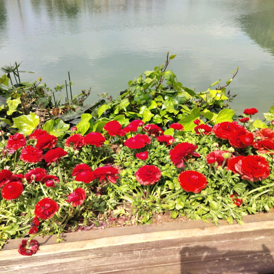🥀LOVE[@&]随缘