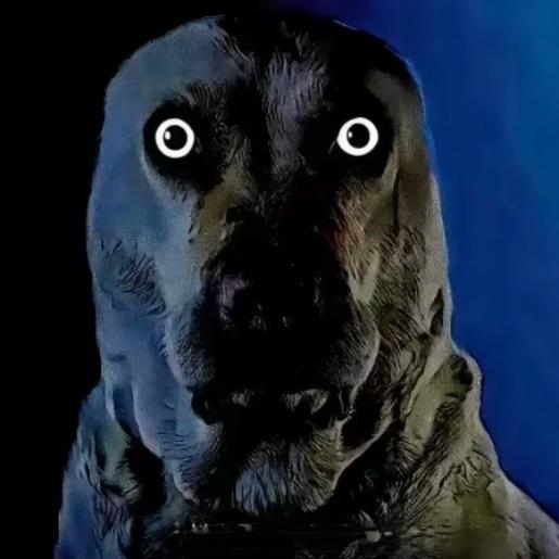 DBGQDZJ