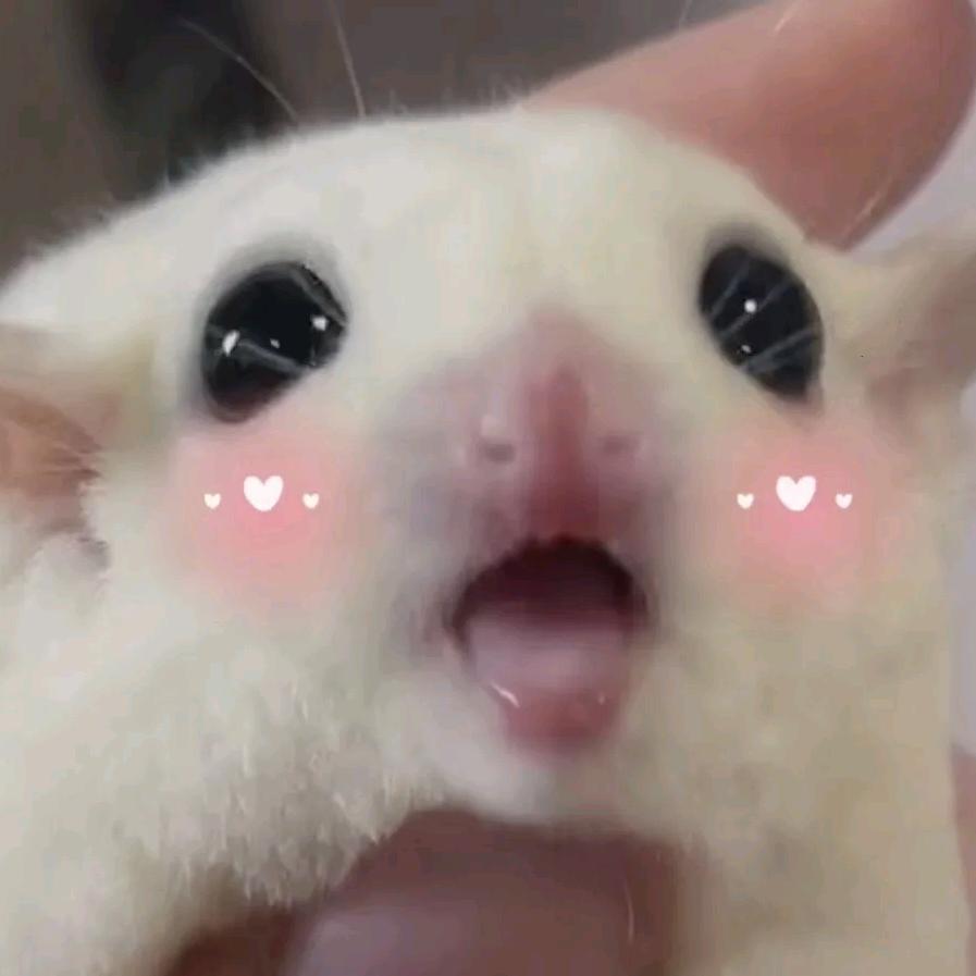沉心