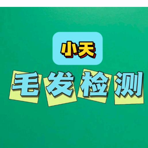 毛发检测小天