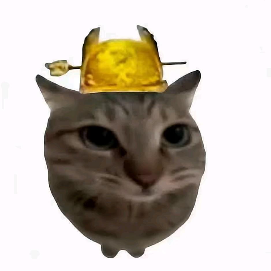 190宇宙超级无敌霹雳大帅哥