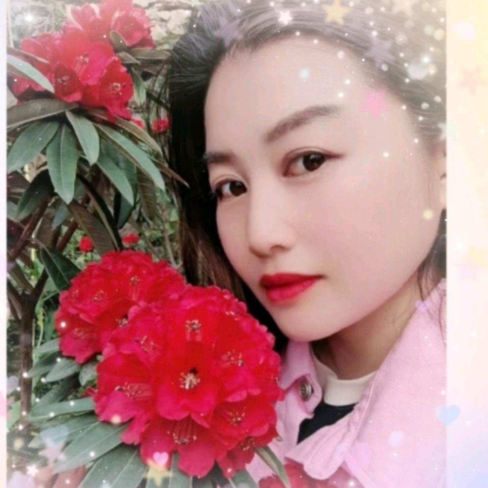 燕子高山杜鹃苗木官方账号