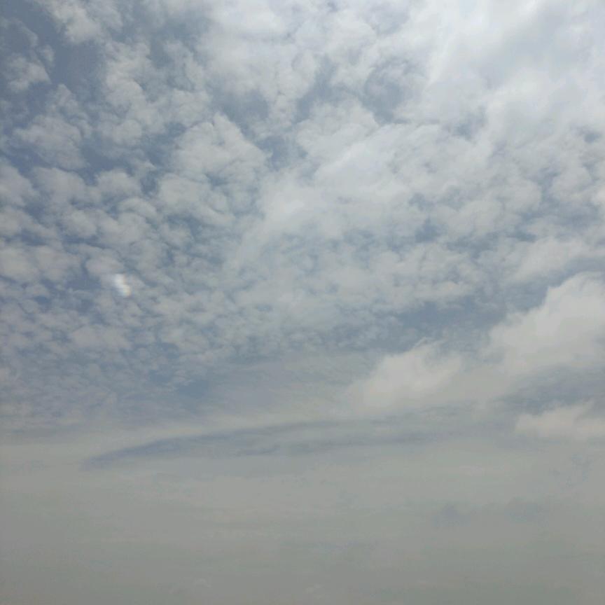 爱的世界只有你