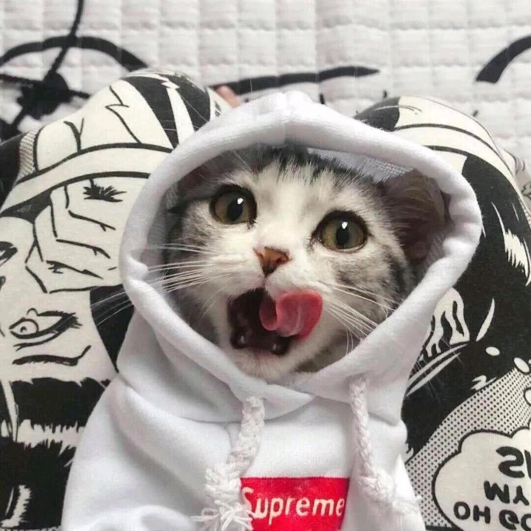 敷衍