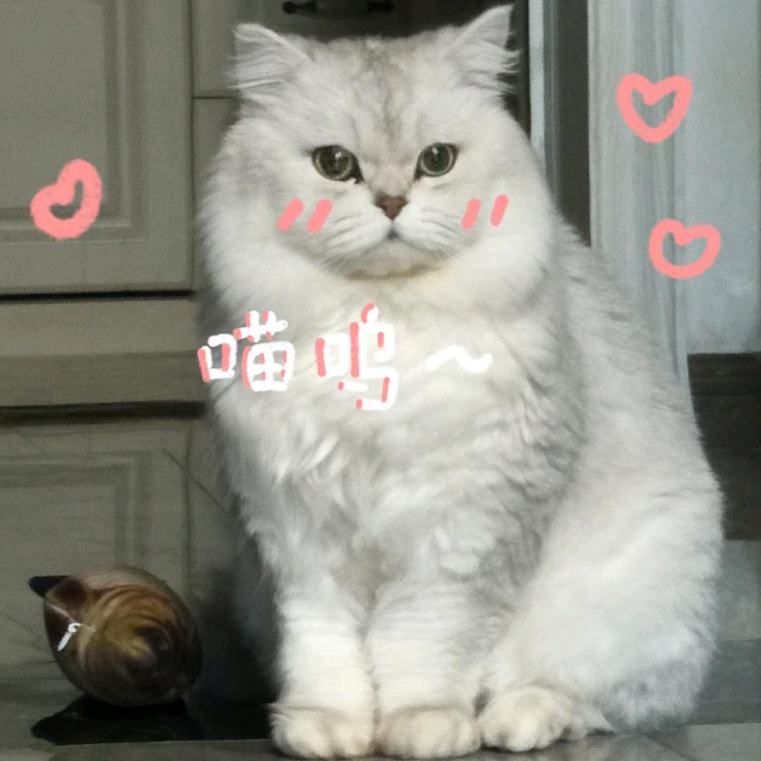 奶团