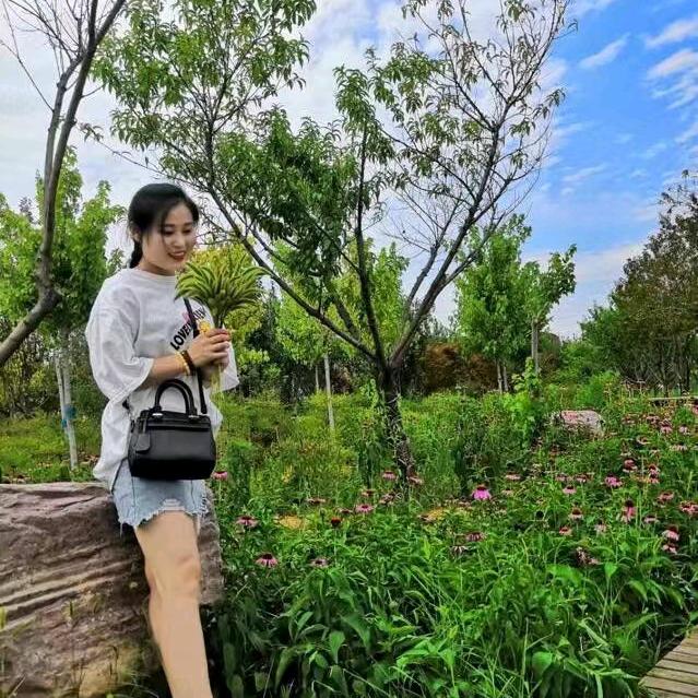 小秋秋在鹤壁
