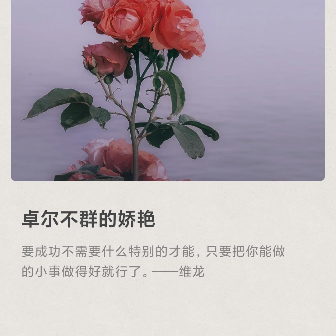 @莉丽
