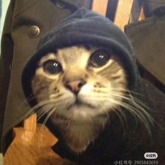 啊！