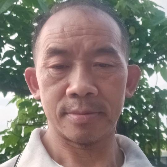 出入平安不定时开播