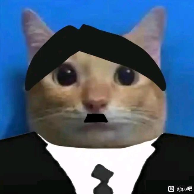 小硕桑