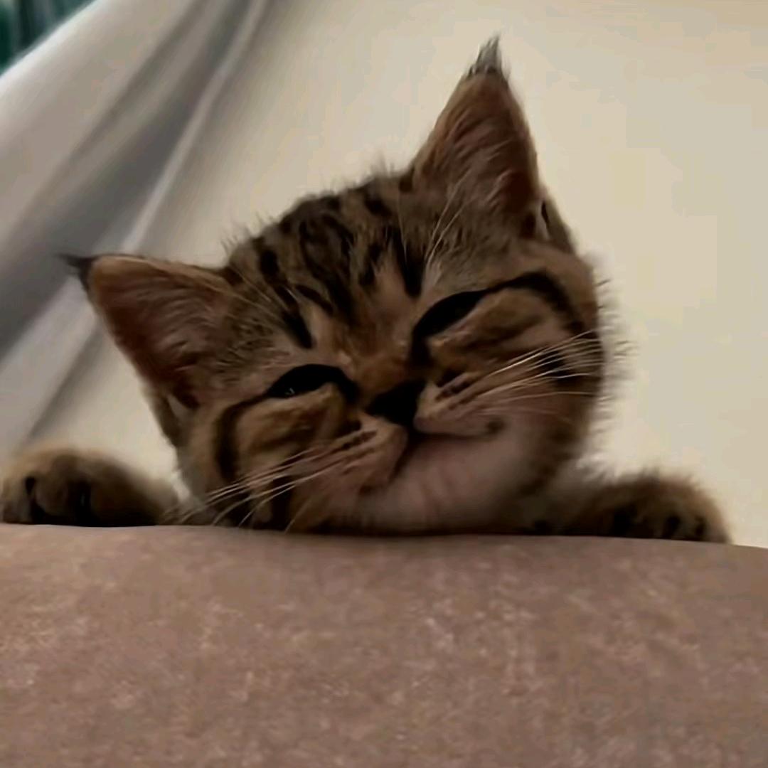 若若