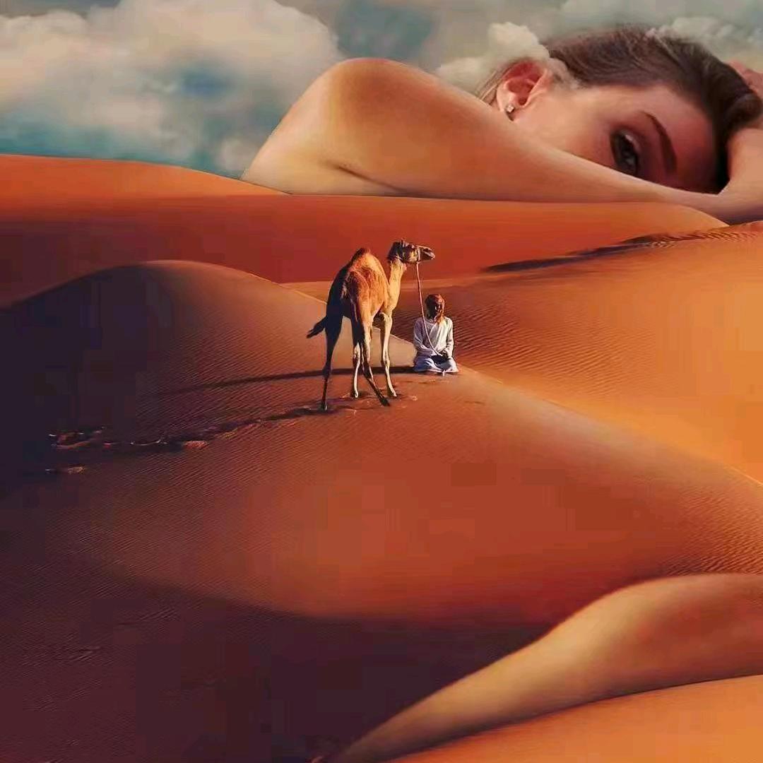 覅忘星辰DG🐺🧶