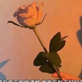 小曼