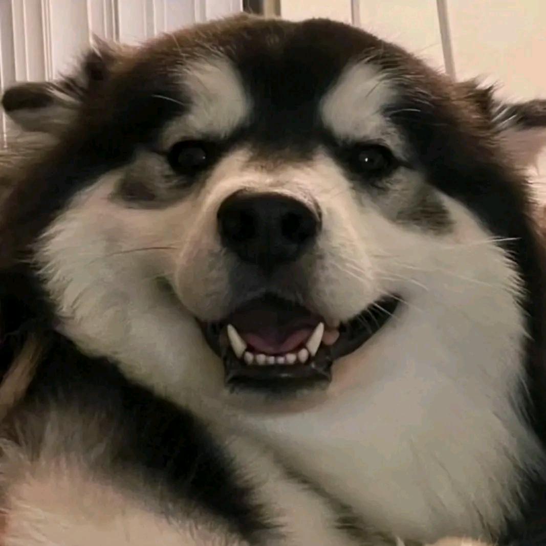 M.A